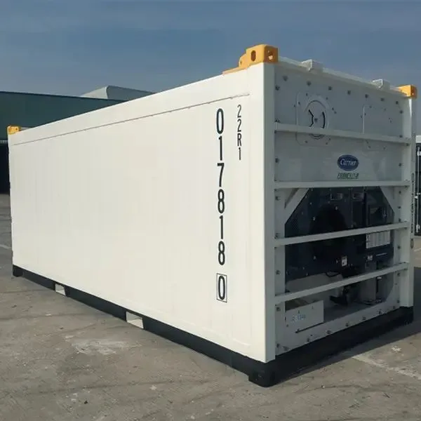 20ft DNV 2.7-1 Certified Refrigerated Container — photo 4 of 12